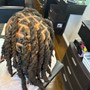 Starter locs