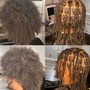 Invisible Locs - HAIR ADDED