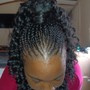 Poetic Justice Braids