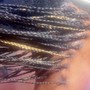 Individual Braids