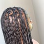 Senegalese/Island Twist