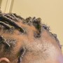 Retwist + wash + style