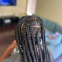 Box Braids (regular)