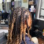 Loc retwist