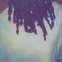 Starter Locs