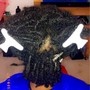 Starter Locs