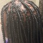 Medium knotless Box Braids or boho