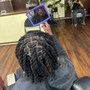 Root Touch Up