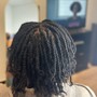 Natural Twists