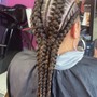 Single Braids