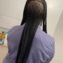 Small braided ponytail