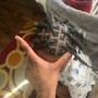 Kids braids