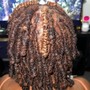 Two Strand Twist ( Natural hair )