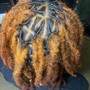 Loc Retwist