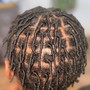 Loc Coils