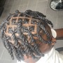 Interlocking Starter Locs