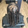 Starter Locs