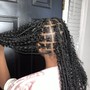 Two feed in Braids