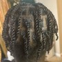 2 Strand Twist