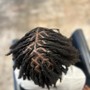 Comb Twist/Starter Locs