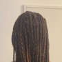 Tree Braids