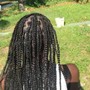 Adult large box braids