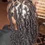 Kids Braids (no Extensions)