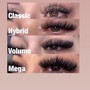 Individual Lashes