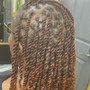 Tree Braids