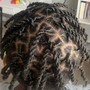 Loc Retwist