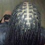 Kinky Twist