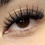 Classic Eyelash Fill