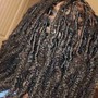 Starter locs/Coils