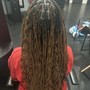 Starter Locs