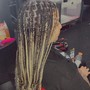 Starter Locs