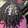 2 Strand Twists