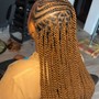 Natural hair box Braids