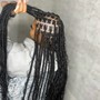 Medium Box Braids