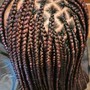 Individual Braids