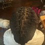 Loc Retwist