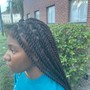 Havana Twists