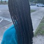 Havana Twists