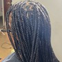 Medium Box Braids