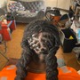 Crochet Braids