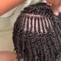 Knotless Braids