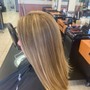 Root Touch Up