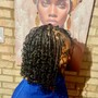 Senegalese Twist