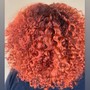 Curly Hair Education on Prep & Style