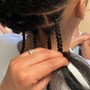 Small Braid Ponytail