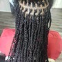 Medium Box Braids